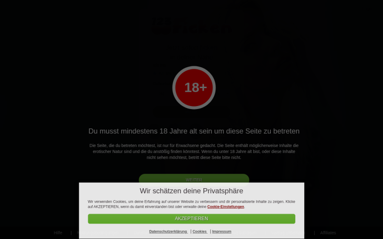 123ficken.com Erfahrungen & Bewertungen Webseite Screenshot