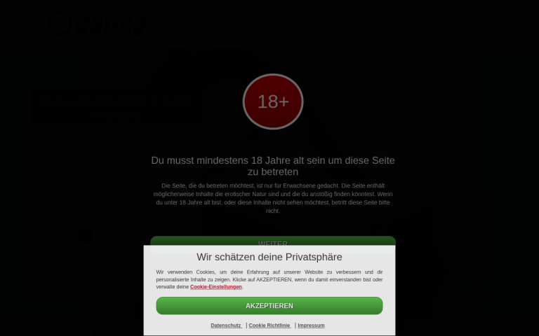 6-dating.com Erfahrungen & Bewertungen Webseite Screenshot