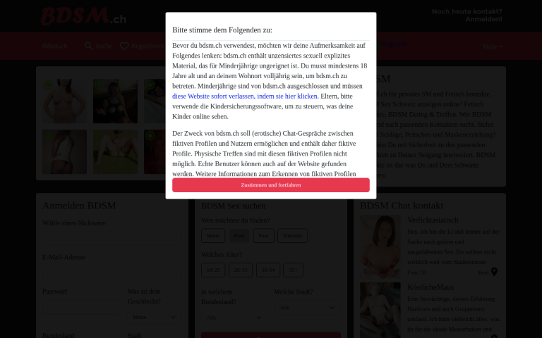 bdsm.ch Erfahrungen & Bewertungen Webseite Screenshot