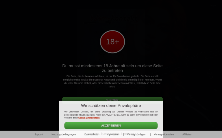 bdsm-kontakt.com Erfahrungen & Bewertungen Webseite Screenshot