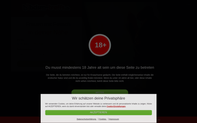 bdsm-treffs.ch Erfahrungen & Bewertungen Webseite Screenshot