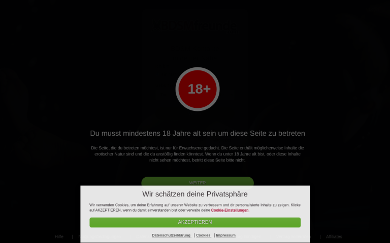 bdsmfreunde.com Erfahrungen & Bewertungen Webseite Screenshot