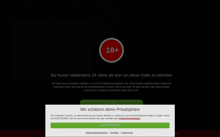 bdsmtreff.ch Erfahrungen & Bewertungen Webseite Screenshot