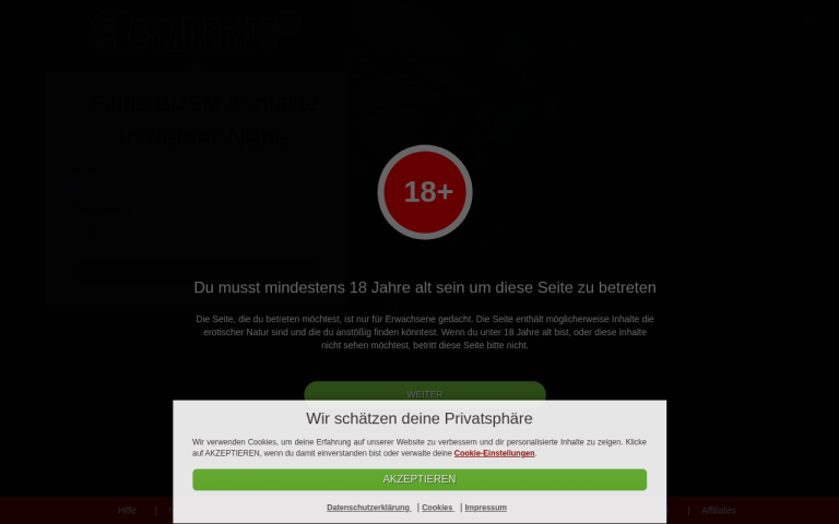 bdsmtreff.de Erfahrungen & Bewertungen Webseite Screenshot