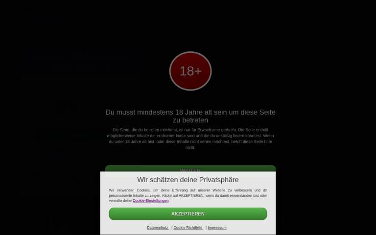 bdsmtreffen.at Erfahrungen & Bewertungen Webseite Screenshot