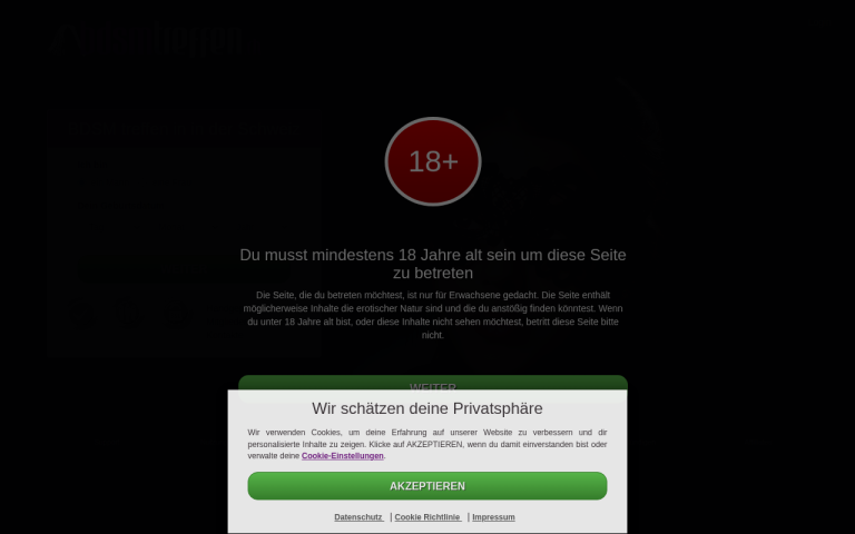 bdsmtreffen.ch Erfahrungen & Bewertungen Webseite Screenshot