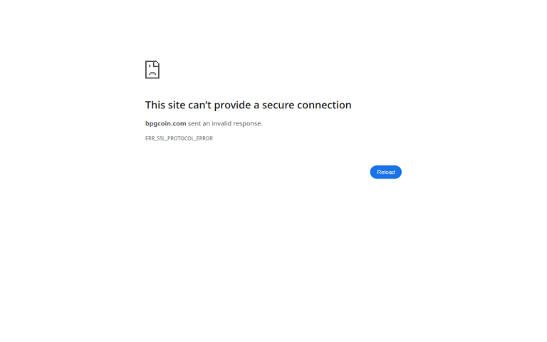 bpgcoin.com Erfahrungen & Bewertungen Webseite Screenshot