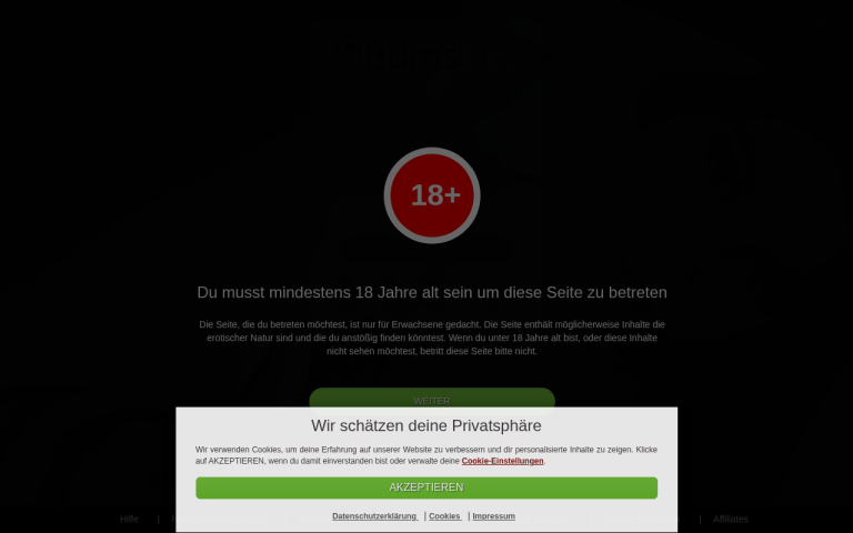 bumsbox.com Erfahrungen & Bewertungen Webseite Screenshot