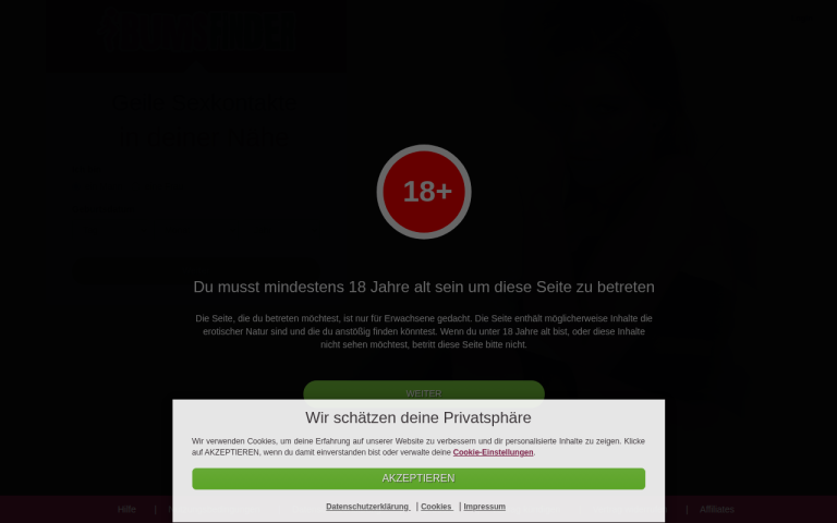 bumsfinder.com Erfahrungen & Bewertungen Webseite Screenshot