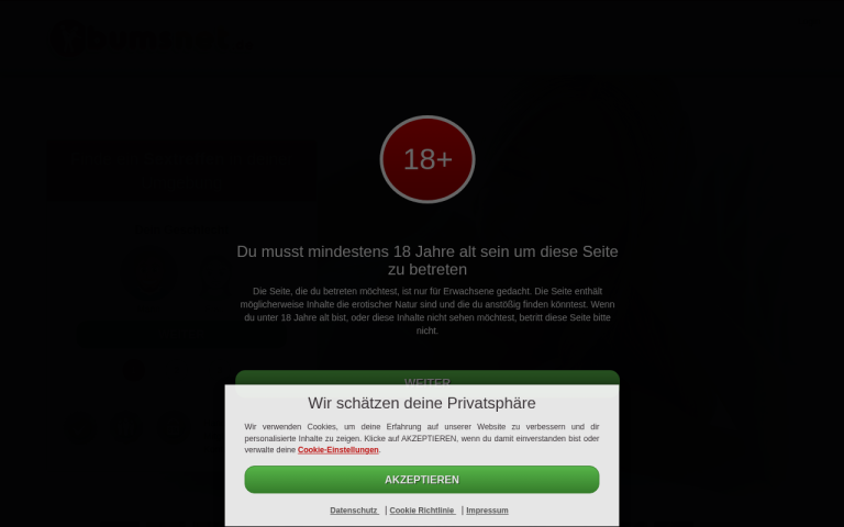 bumsnet.de Erfahrungen & Bewertungen Webseite Screenshot