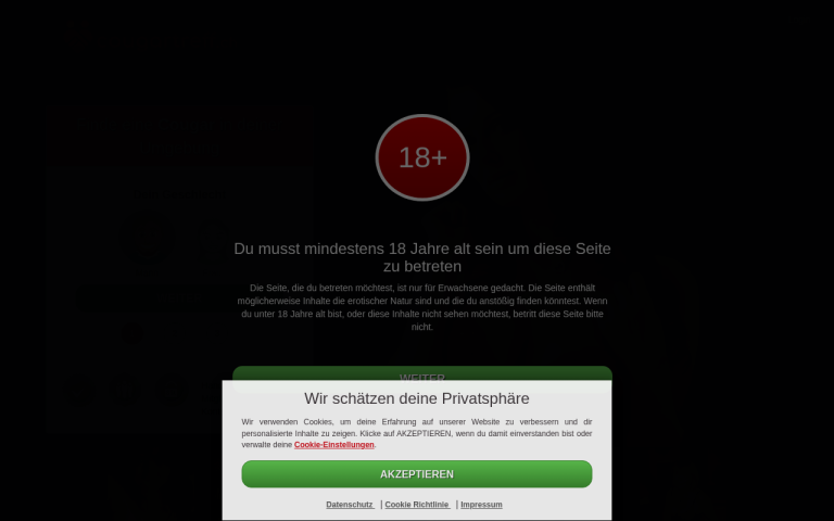 cougartreff.ch Erfahrungen & Bewertungen Webseite Screenshot