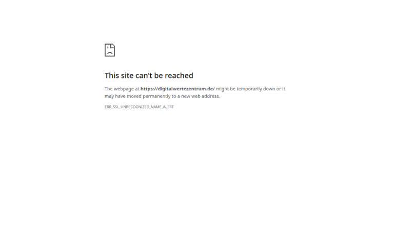 digitalwertezentrum.de Erfahrungen & Bewertungen Webseite Screenshot