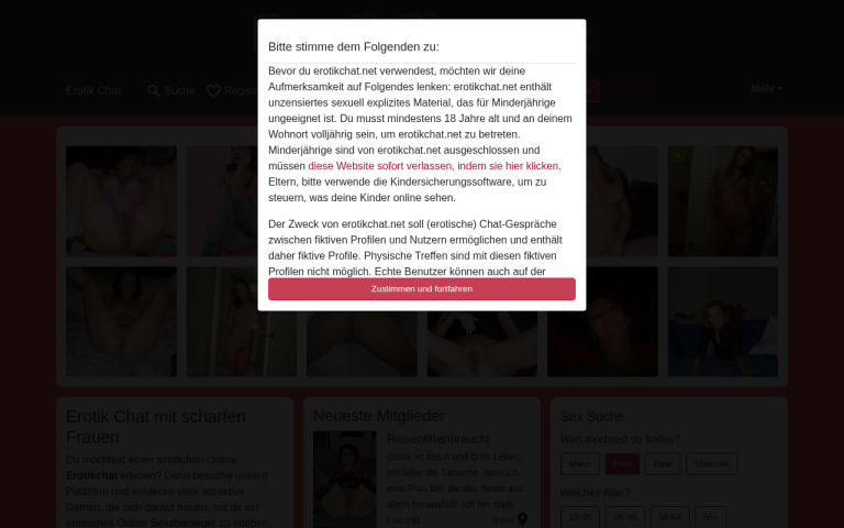 erotikchat.net Erfahrungen & Bewertungen Webseite Screenshot