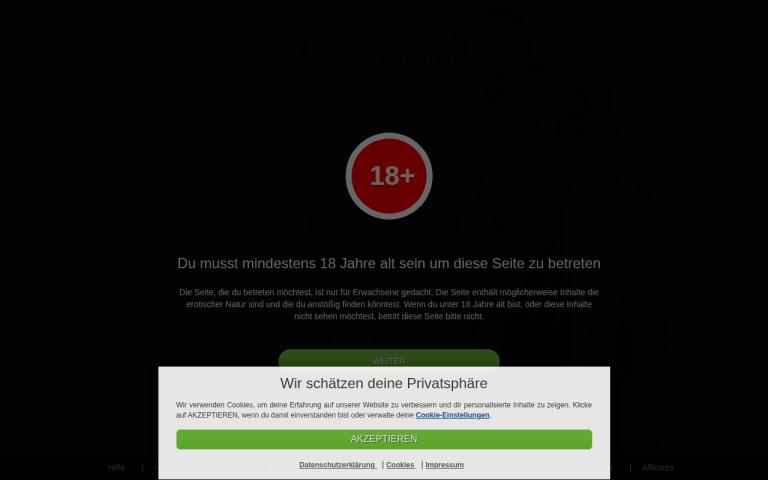 feuchte-sexkontakte.com Erfahrungen & Bewertungen Webseite Screenshot