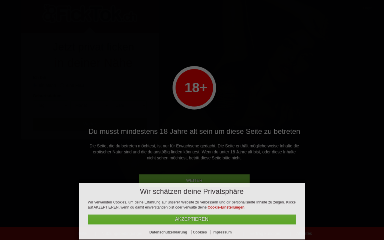 ficktok.ch Erfahrungen & Bewertungen Webseite Screenshot