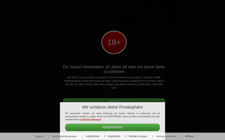ficktuns.com Erfahrungen & Bewertungen Webseite Screenshot