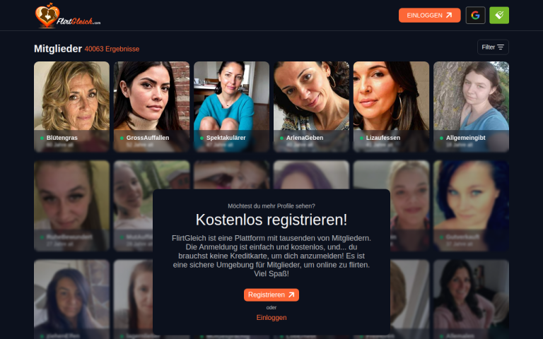 flirtgleich.com Erfahrungen & Bewertungen Webseite Screenshot