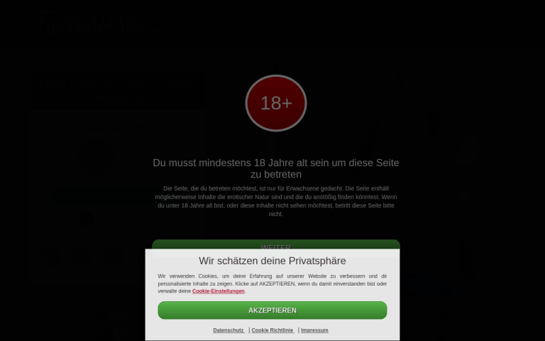 fussfetischdates.com Erfahrungen & Bewertungen Webseite Screenshot