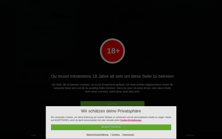 fussfetischzone.com Erfahrungen & Bewertungen Webseite Screenshot