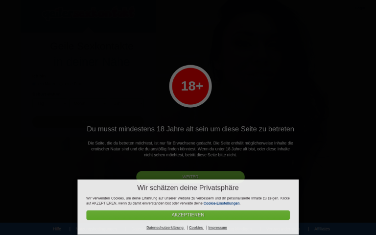 geiler-sexkontakt.net Erfahrungen & Bewertungen Webseite Screenshot
