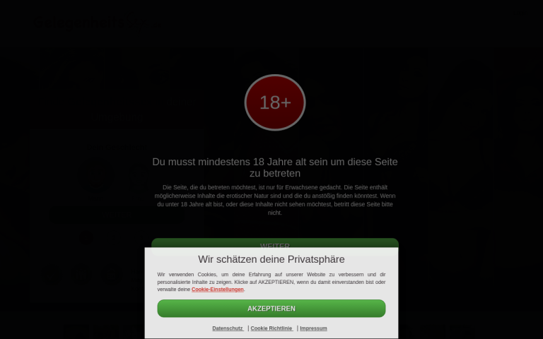 gelegenheitssex.de Erfahrungen & Bewertungen Webseite Screenshot