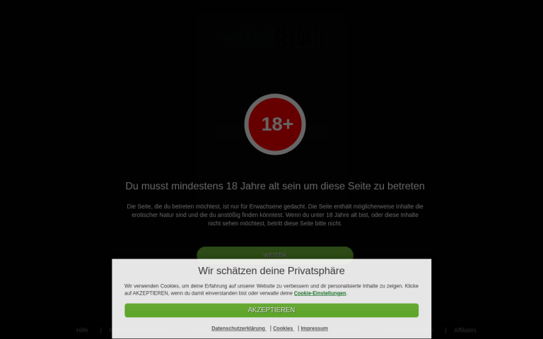 handy-sexdate.com Erfahrungen & Bewertungen Webseite Screenshot