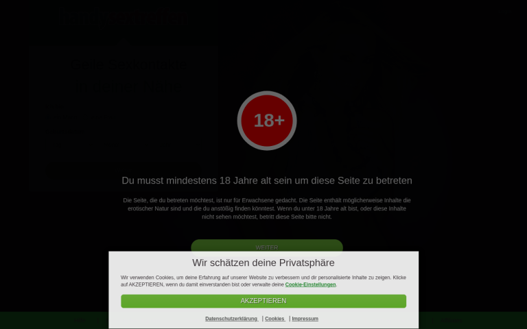 handy-sextreffen.com Erfahrungen & Bewertungen Webseite Screenshot