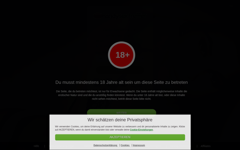handy-sextreffen.net Erfahrungen & Bewertungen Webseite Screenshot