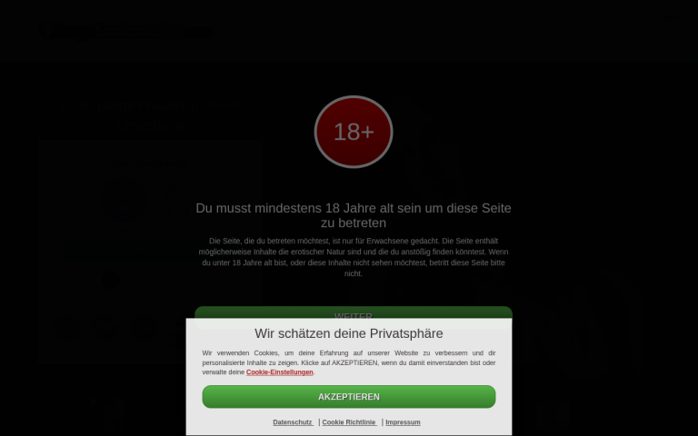 jungesexkontakte.com Erfahrungen & Bewertungen Webseite Screenshot