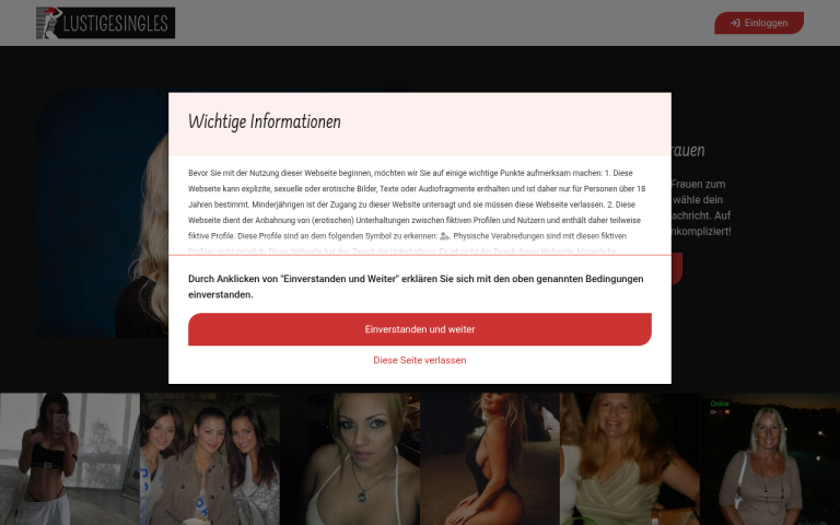 lustigesingles.com Erfahrungen & Bewertungen Webseite Screenshot
