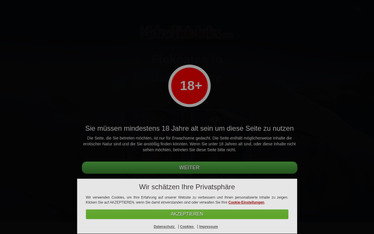 meinefickdates.com Erfahrungen & Bewertungen Webseite Screenshot