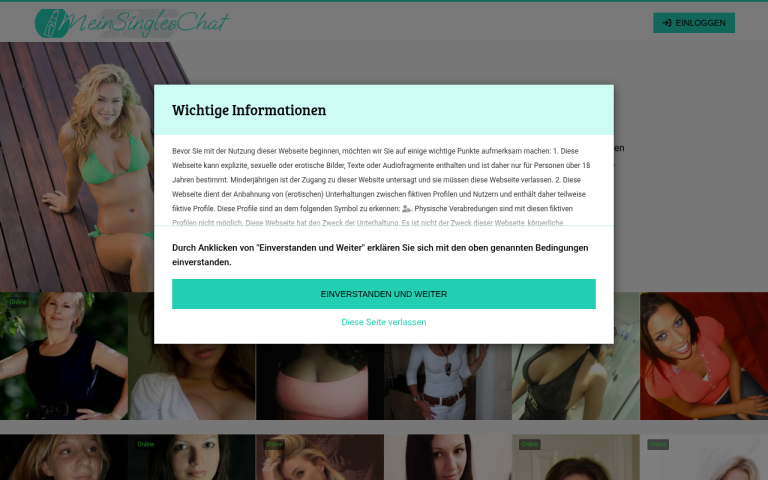 meinsingleschat.com Erfahrungen & Bewertungen Webseite Screenshot
