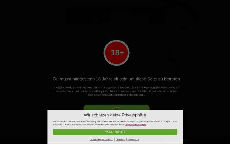 nurfetischkontakte.ch Erfahrungen & Bewertungen Webseite Screenshot