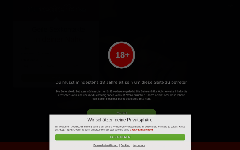 nursextreffen.ch Erfahrungen & Bewertungen Webseite Screenshot