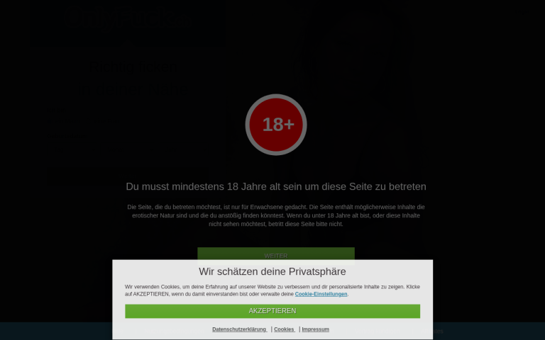 onlyfuck.ch Erfahrungen & Bewertungen Webseite Screenshot