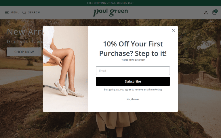 paulgreenshoes.com Erfahrungen & Bewertungen Webseite Screenshot