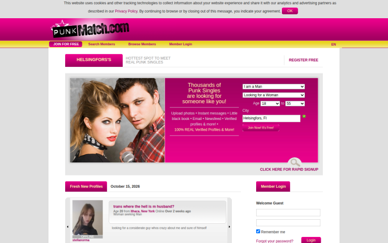 punkmatch.com Erfahrungen & Bewertungen Webseite Screenshot