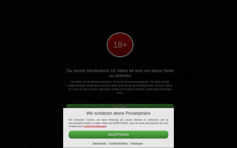reifetreffs.com Erfahrungen & Bewertungen Webseite Screenshot