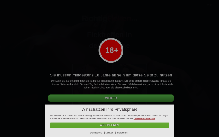richtigficken.ch Erfahrungen & Bewertungen Webseite Screenshot
