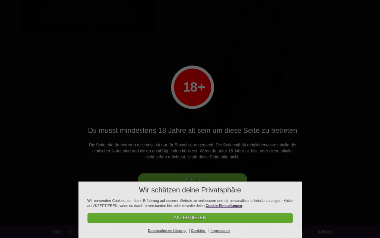 schnelle-sextreffen.de Erfahrungen & Bewertungen Webseite Screenshot