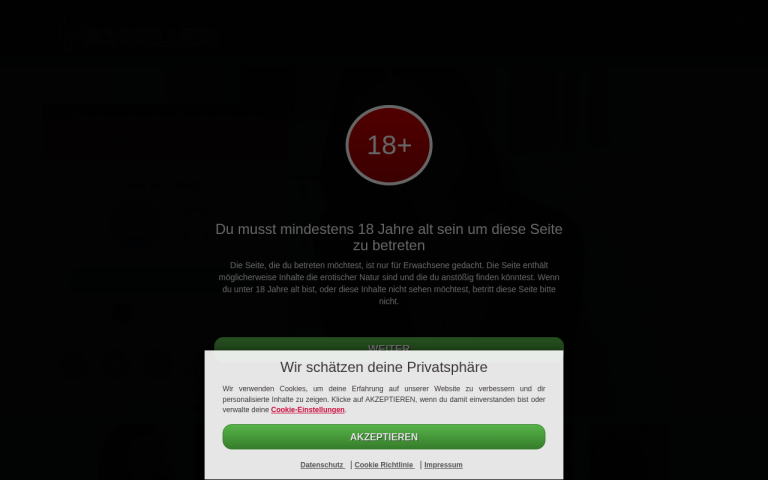 schneller6.com Erfahrungen & Bewertungen Webseite Screenshot
