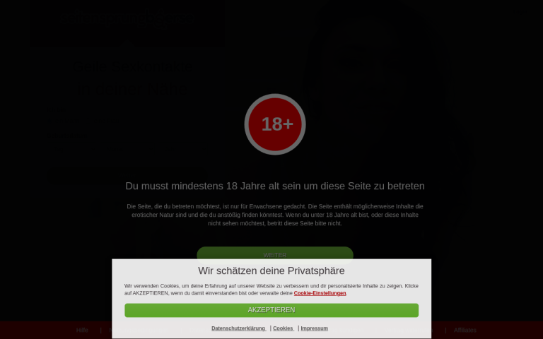 seitensprungboerse.com Erfahrungen & Bewertungen Webseite Screenshot