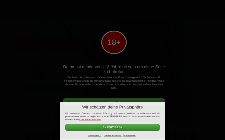 seitensprungtreff24.ch Erfahrungen & Bewertungen Webseite Screenshot