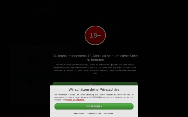 sex-treffs.net Erfahrungen & Bewertungen Webseite Screenshot