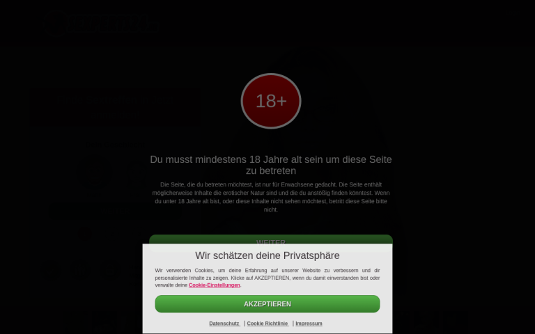 sexperts24.de Erfahrungen & Bewertungen Webseite Screenshot