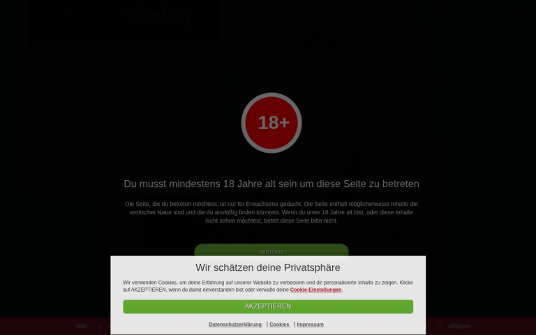sugardaddyladies.de Erfahrungen & Bewertungen Webseite Screenshot