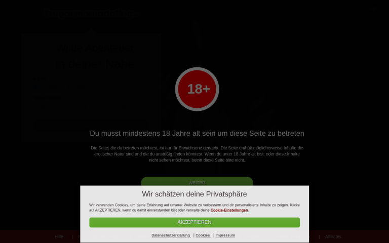 sugarmamadating.at Erfahrungen & Bewertungen Webseite Screenshot