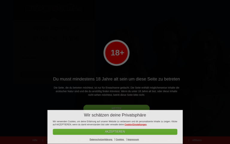 swinger-treffs.de Erfahrungen & Bewertungen Webseite Screenshot