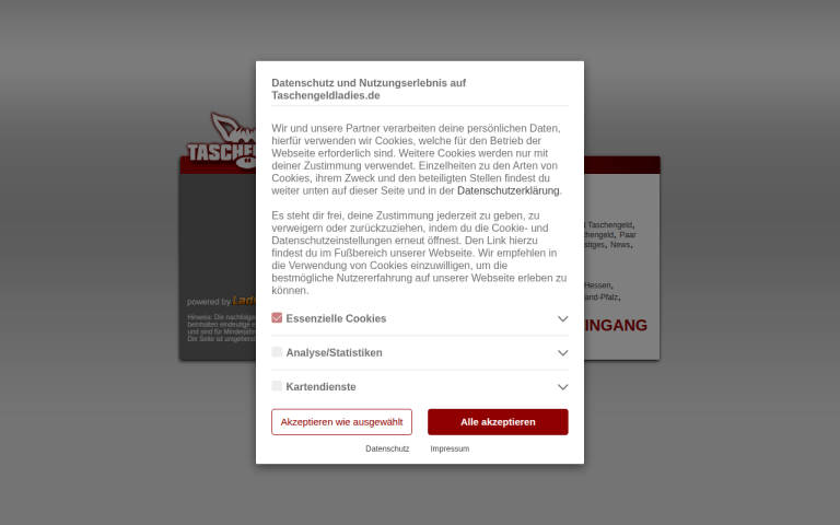 taschengeldladies.de Erfahrungen & Bewertungen Webseite Screenshot