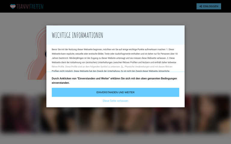 trannytreffen.com Erfahrungen & Bewertungen Webseite Screenshot